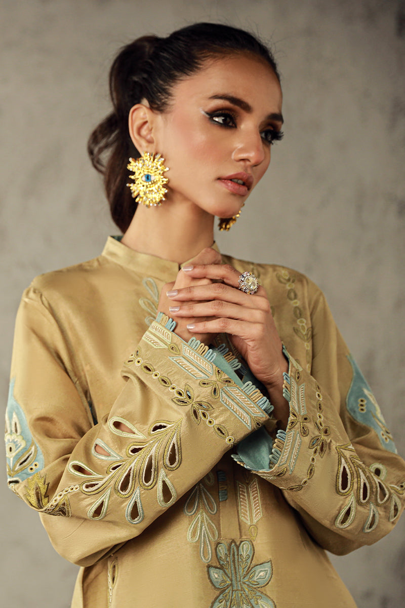 Wardha Saleem | Luxury Pret Traditional Wear | AMANI