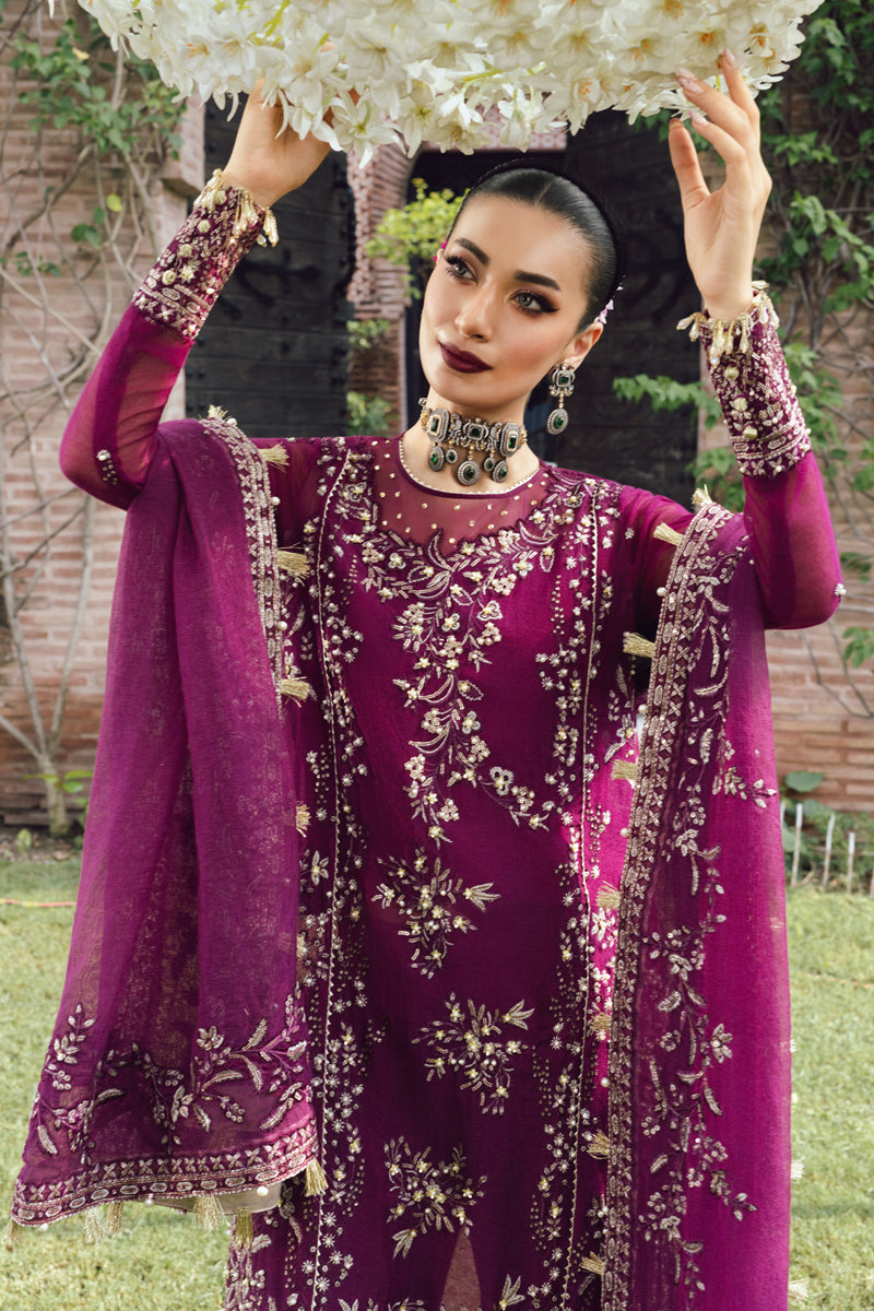 Rangrasiya | Wedding Formals 25 | Nimir