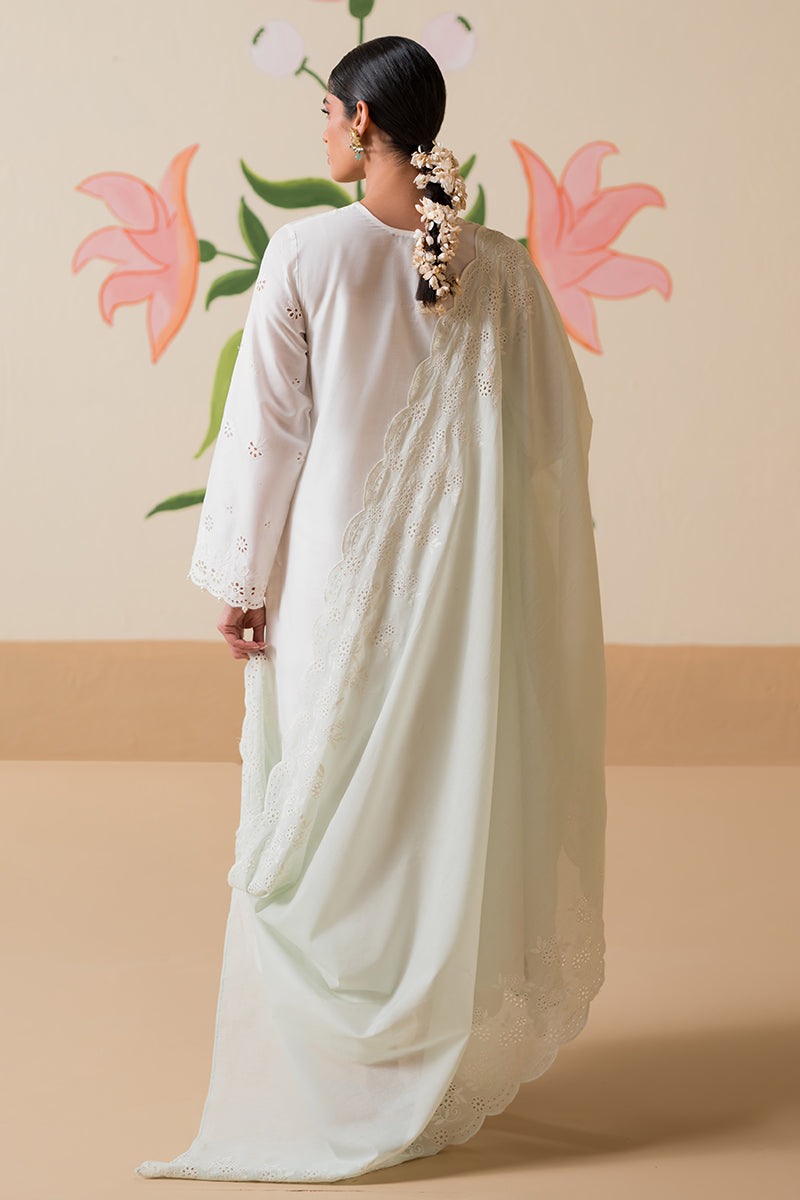 Cross Stitch | Chikankari Lawn Collection | P-06