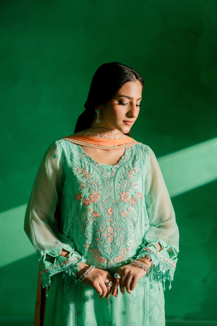 Zebtan | Farmaish Formals | FC-02