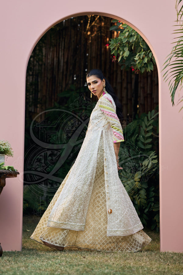 Layla Chatoor | Luxury Pret | Aaira