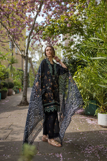 Sobia Nazir | Basics 25 | Design 3B