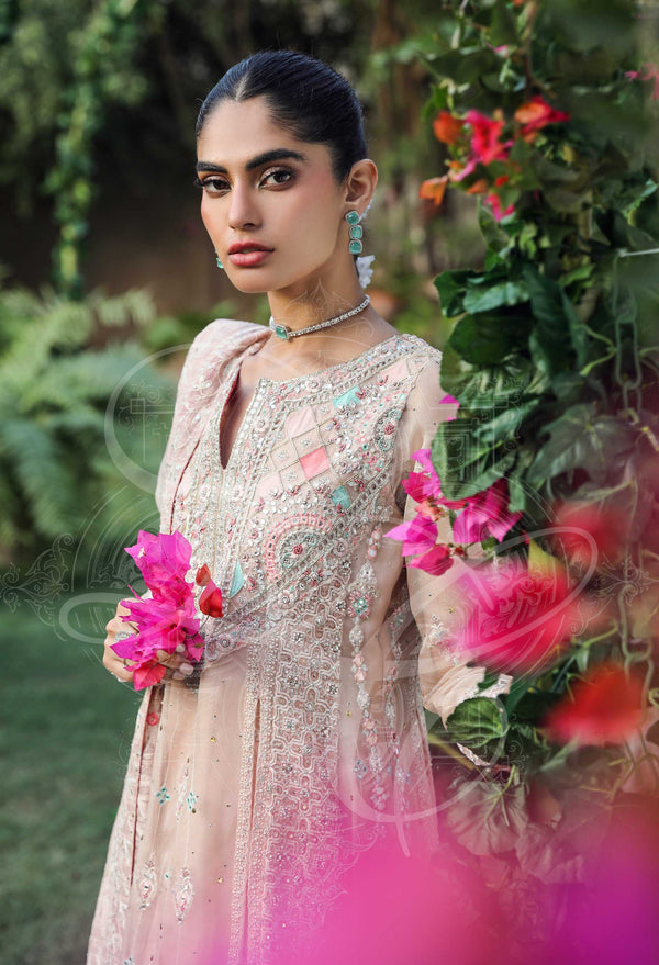 Layla Chatoor | Luxury Pret | Amani