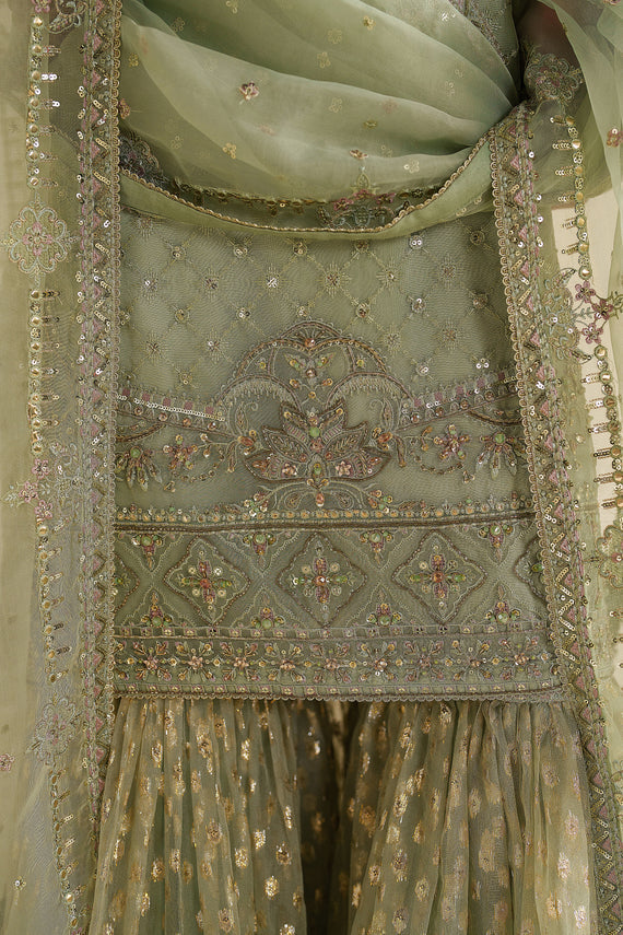 Naqshi | Feemora Organza Raw Silk | Hanam