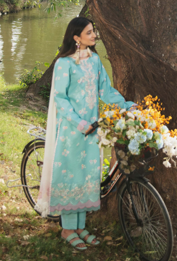 Hum Dum | Summer Breeze 25 | D06