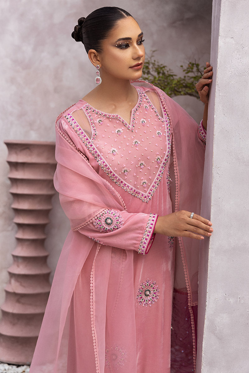 Chic Opicial | Velveteen Luxury Fall Collection | Narmin