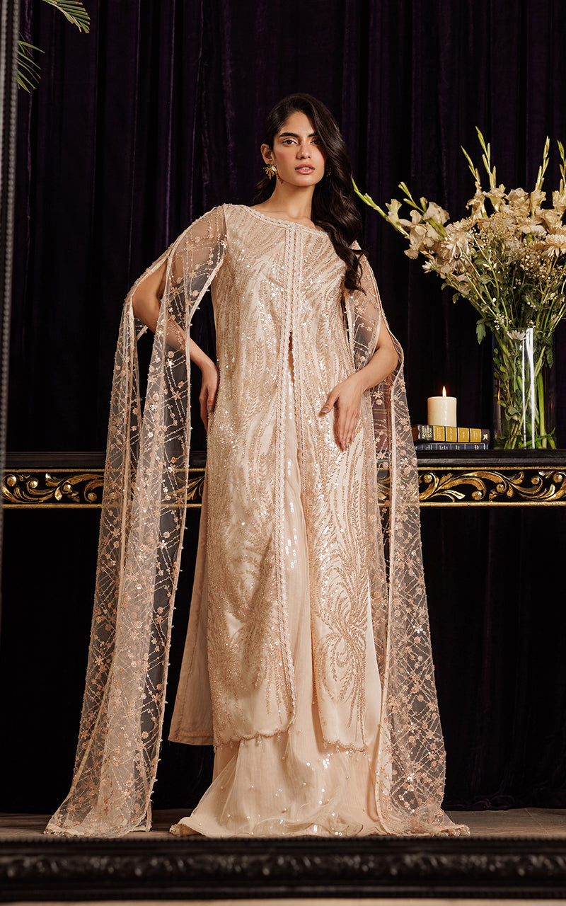Threads and Motifs | Formal Dresses 25 | Net Embroidered Dress With Skirt