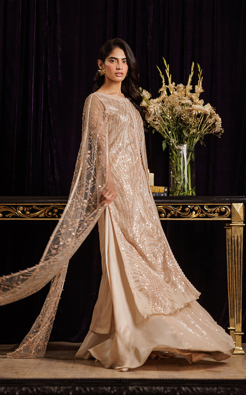 Threads and Motifs | Formal Dresses 25 | Net Embroidered Dress With Skirt