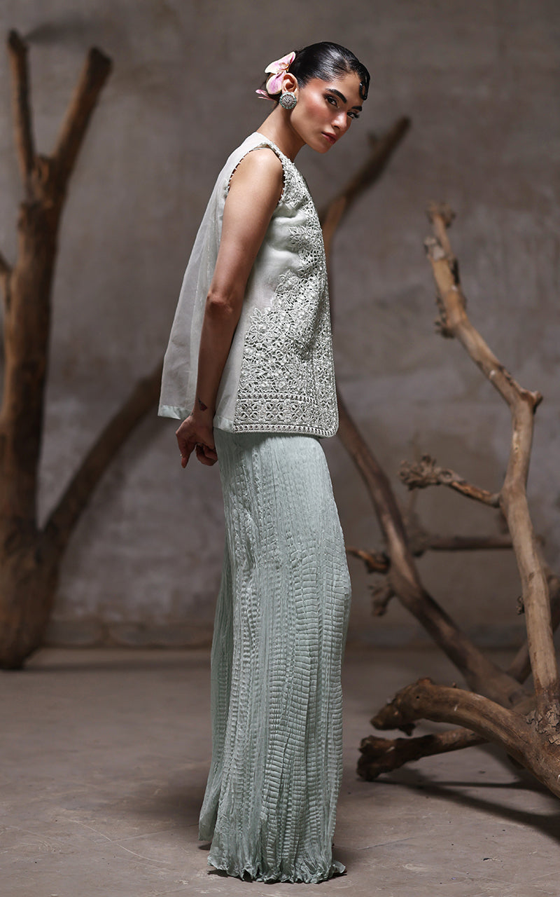 Threads and Motifs | Formal Dresses 25 | Organza Embroidered Jacket With Crushed Trouser