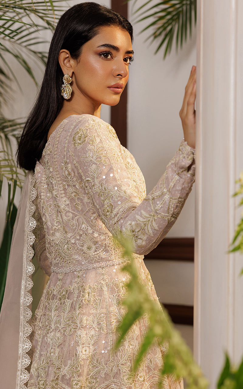 Threads and Motifs | Formal Dresses 25 | Net Embroidered Maxi
