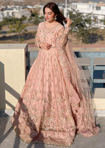 Meeral | Wedding Formals | ML-LUX22V2-5 Dilara