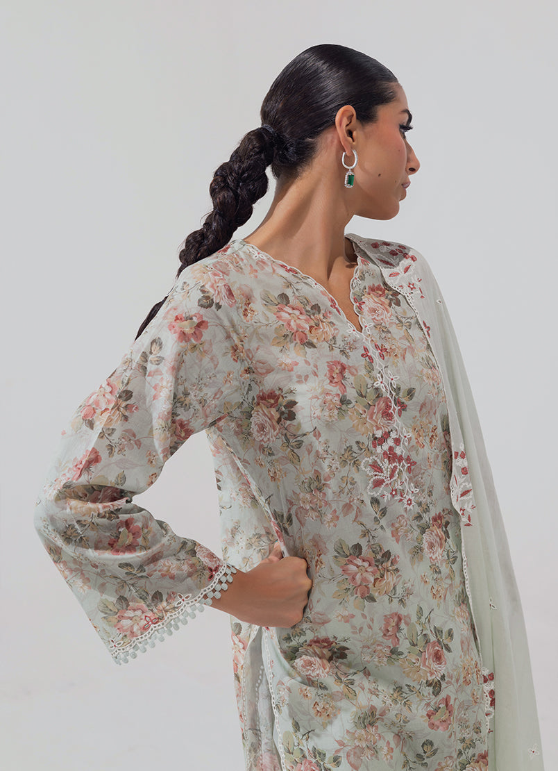 Image | Spring Basics 25 | IMPRSS-214012-12492