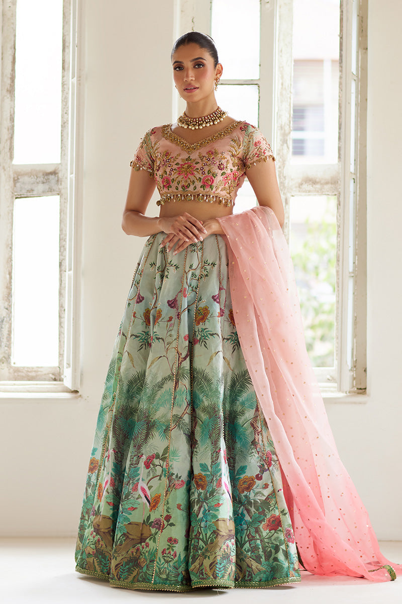 Mina Hassan | Formal Dholki Collection | Fayruz