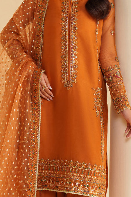 Naqshi | Feemora Organza Raw Silk | Yameen