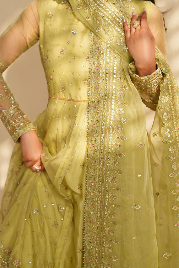 Naqshi | Feemora Organza Raw Silk | Zeesha