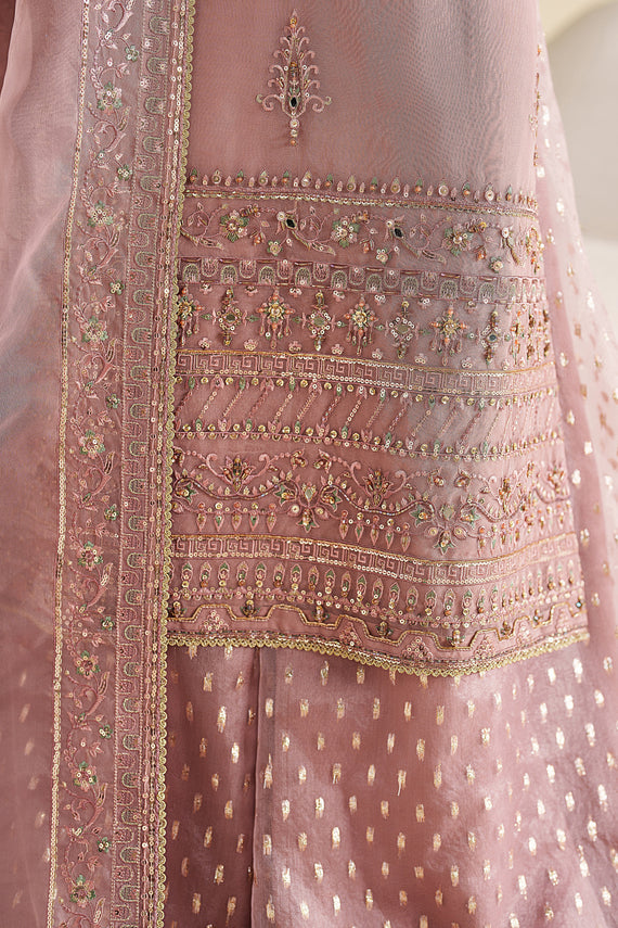 Naqshi | Feemora Organza Raw Silk | Ushna