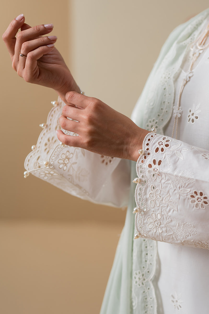 Cross Stitch | Chikankari Lawn Collection | P-06