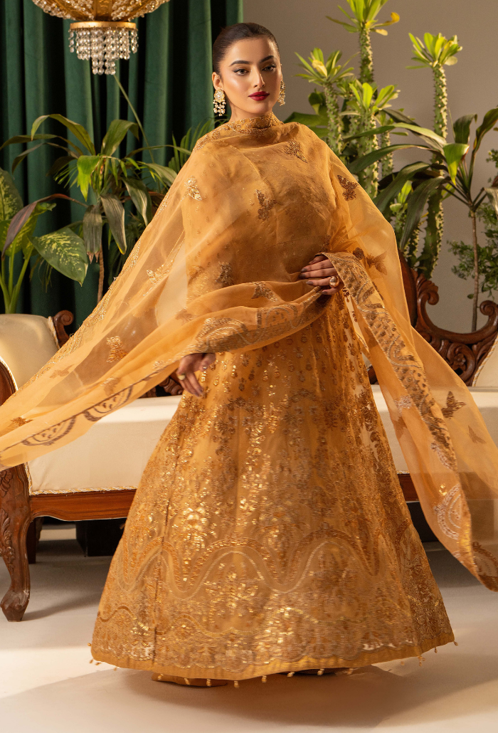 Humdum | Chiffon Collection | HOC - D05