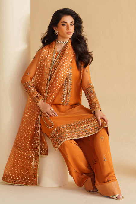 Naqshi | Feemora Organza Raw Silk | Yameen