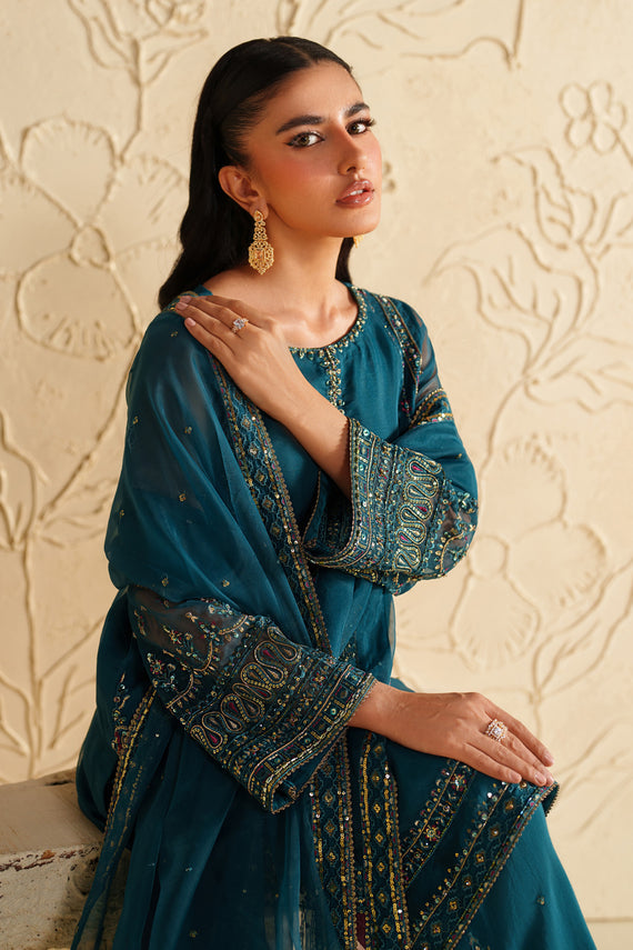 Naqshi | Feemora Organza Raw Silk | Rahmir