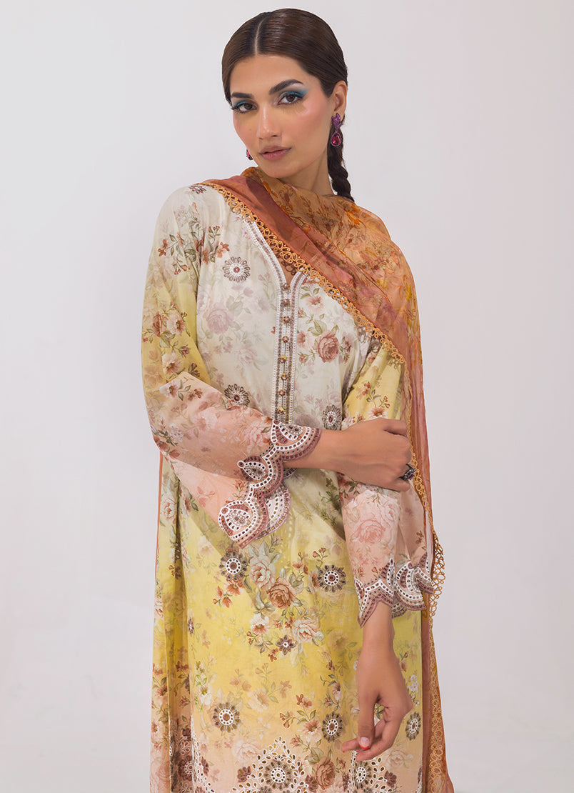 Image | Spring Basics 25 | IMPRSS-213971-12540