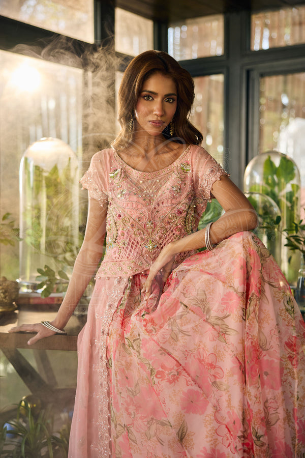 Layla Chatoor | Luxury Pret | Liyana