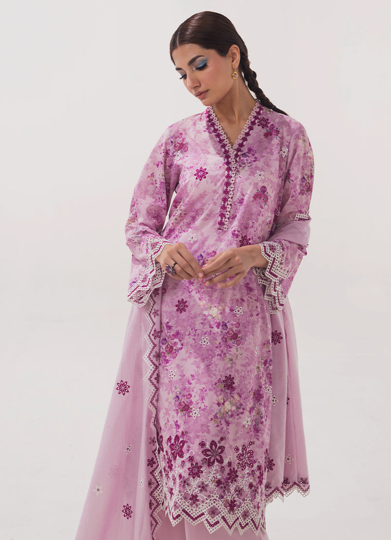 Image | Spring Basics 25 | IMPRSS-213951-12549