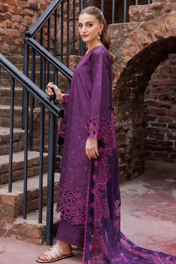 Farasha | Printed Essentials | Winkmist