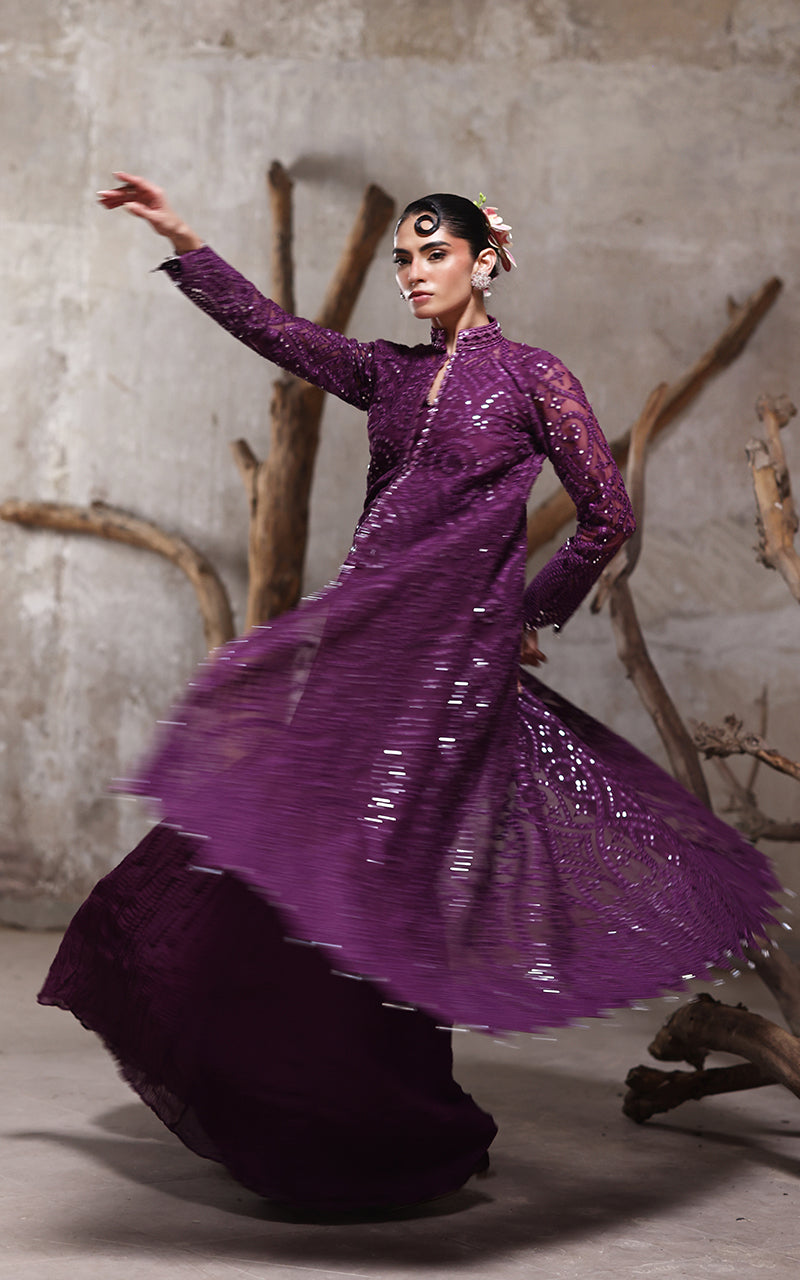 Threads and Motifs | Formal Dresses 25 | Organza Embroidered Jacket With Crushed Trouser
