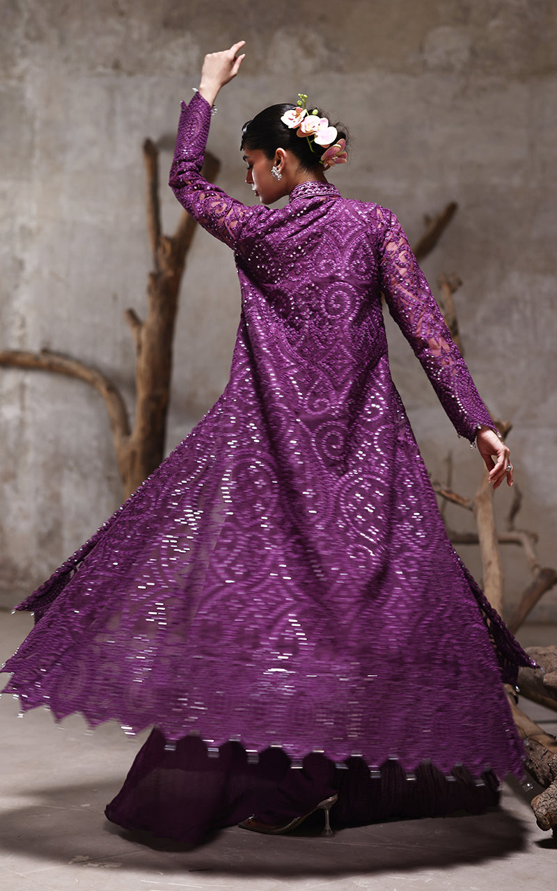 Threads and Motifs | Formal Dresses 25 | Organza Embroidered Jacket With Crushed Trouser