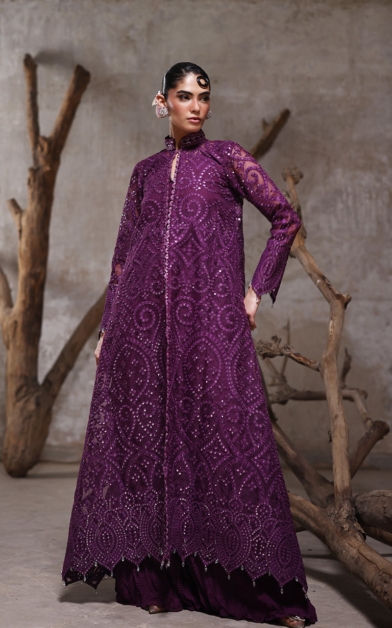 Threads and Motifs | Formal Dresses 25 | Organza Embroidered Jacket With Crushed Trouser