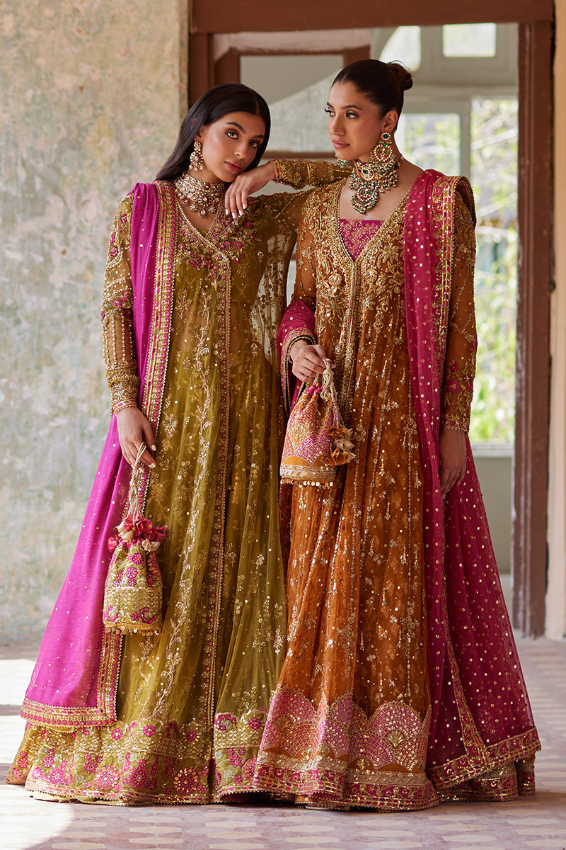 Mina Hassan | Formal Dholki Collection | Aaliyah