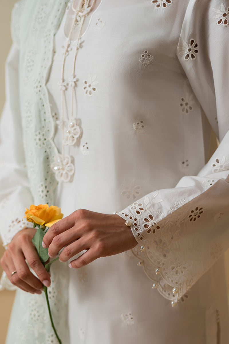Cross Stitch | Chikankari Lawn Collection | P-06