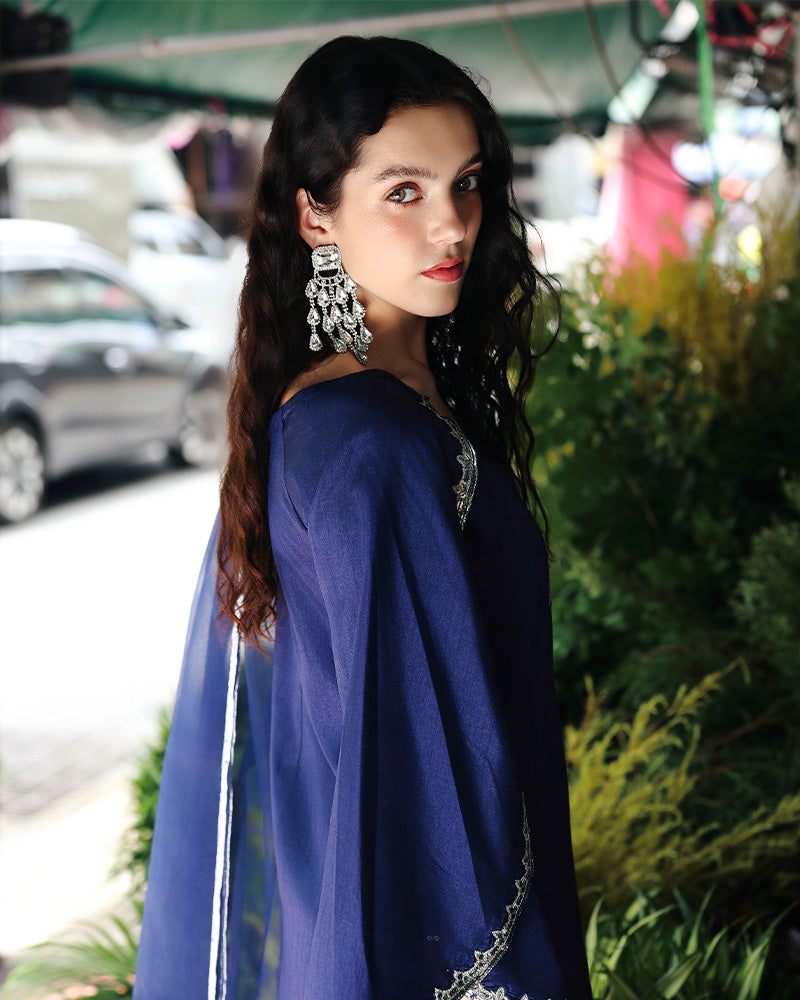 Ain | Prestige Festive Edit | AN-141 E