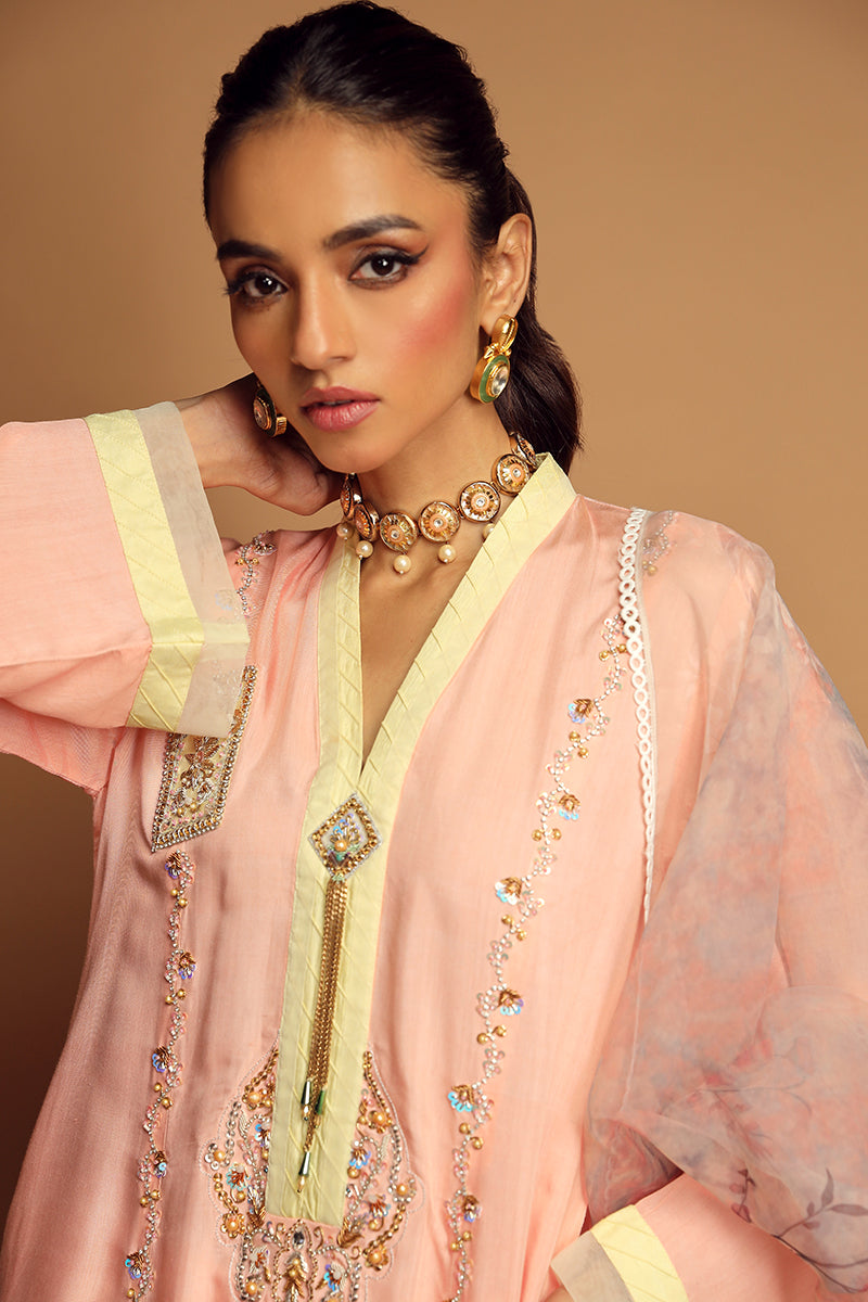 Wardha Saleem | Luxury Pret Traditional Wear | ALLURE (2PC)
