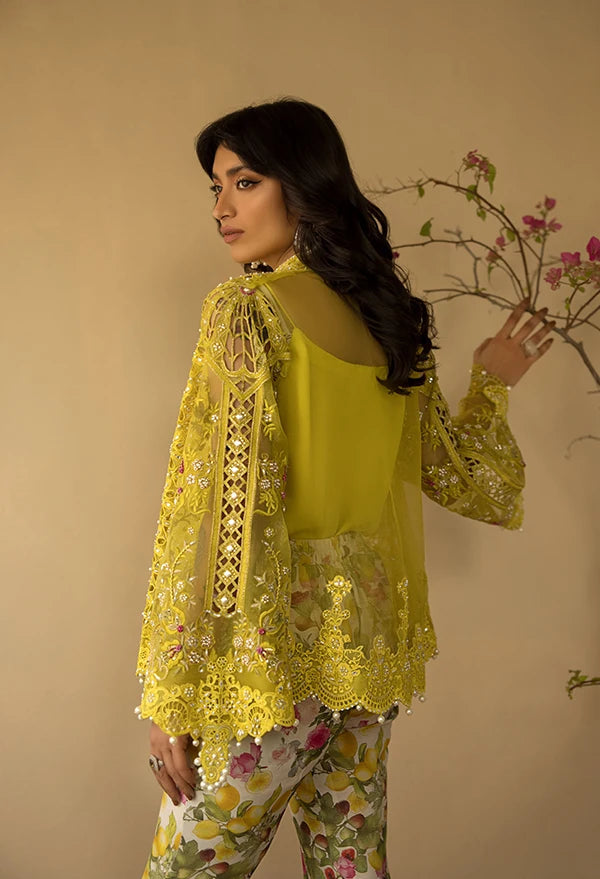 Layla Chatoor | Luxury Pret | AVA