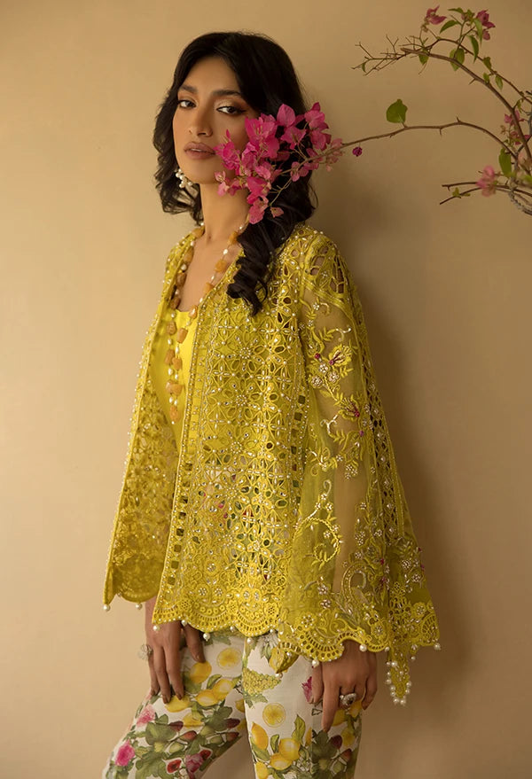 Layla Chatoor | Luxury Pret | AVA