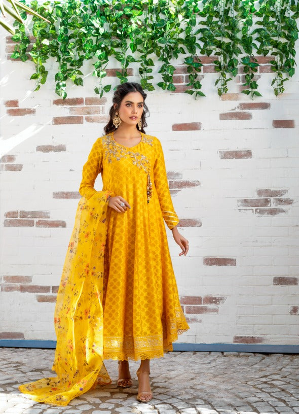 Anam Akhlaq | Festive Collection | D-12