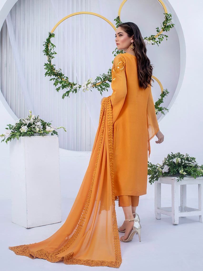 Anam Akhlaq | Festive Collection | D-03