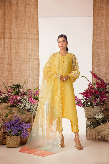Anam Akhlaq | Festive Collection | D-35