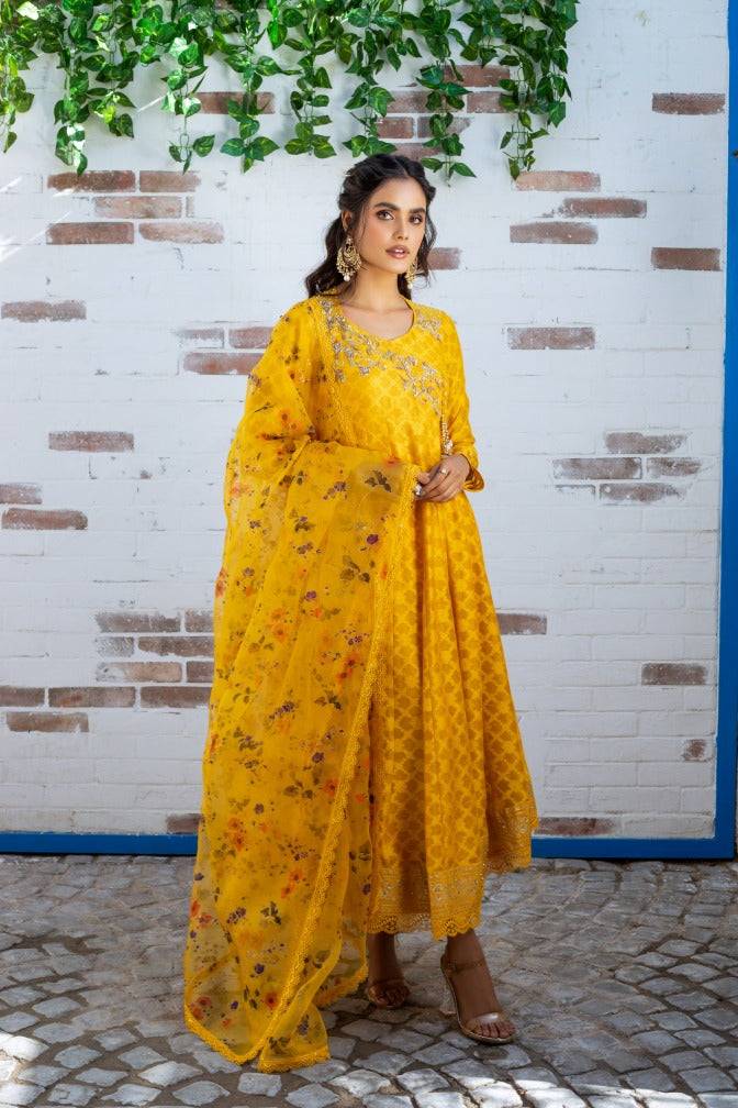Anam Akhlaq | Festive Collection | D-12