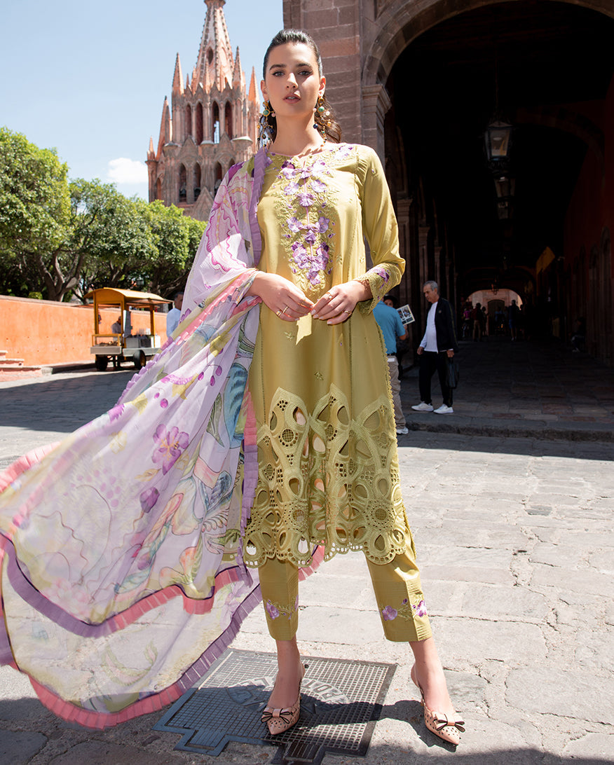 Mushq | Odyssey Lawn 26 | Aranza