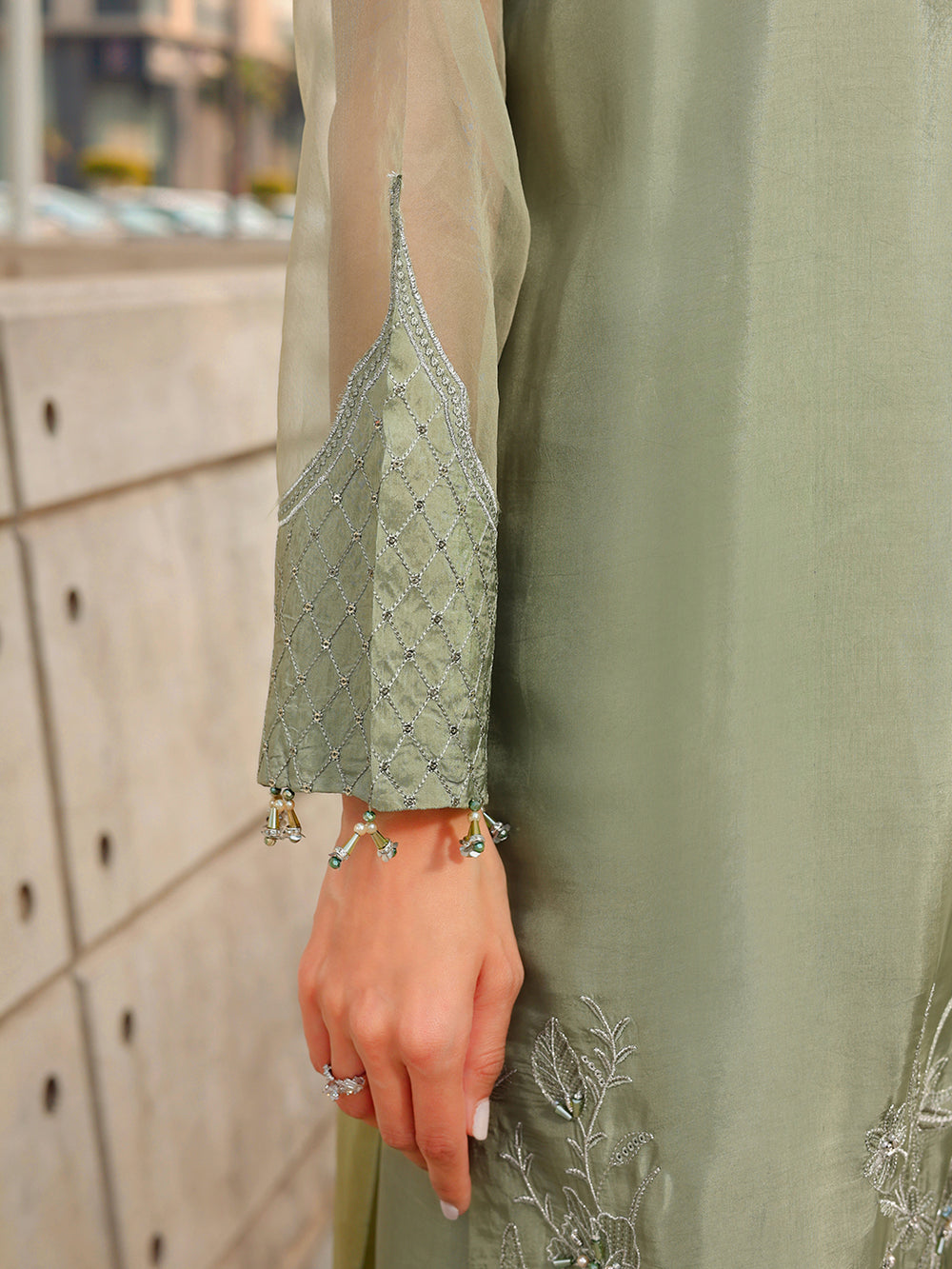 Ain | Raya Luxury Formals | AN-170 BERYL