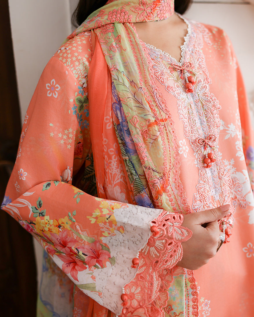 Roheenaz | Sunlit Tales Printed Embroidered Edit | Blush tale