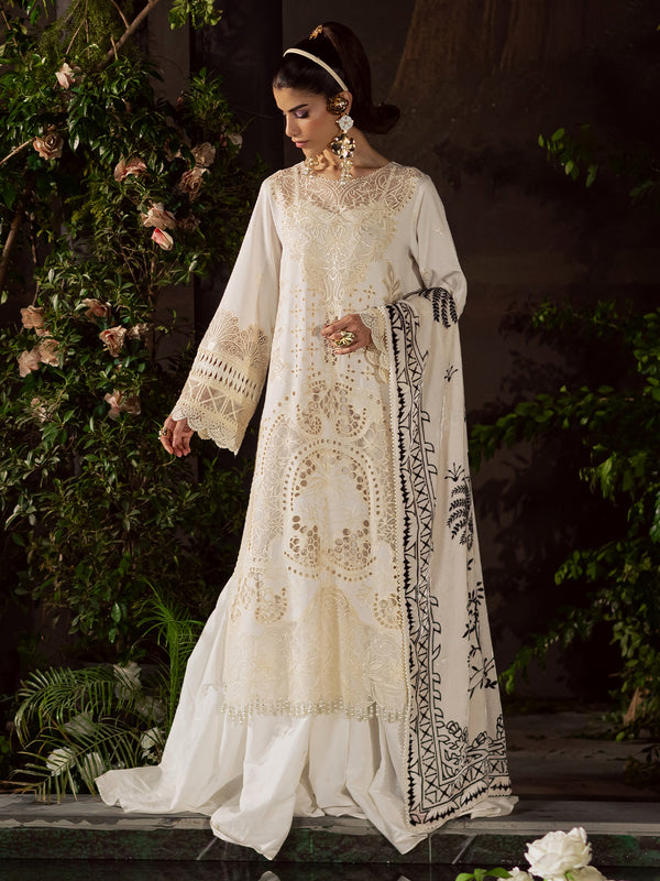Mahnur | Amelia Luxury Winter 25 |CK-003 Kotrai