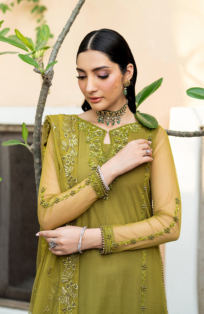 Zarif | Arzou Luxe | JEAN