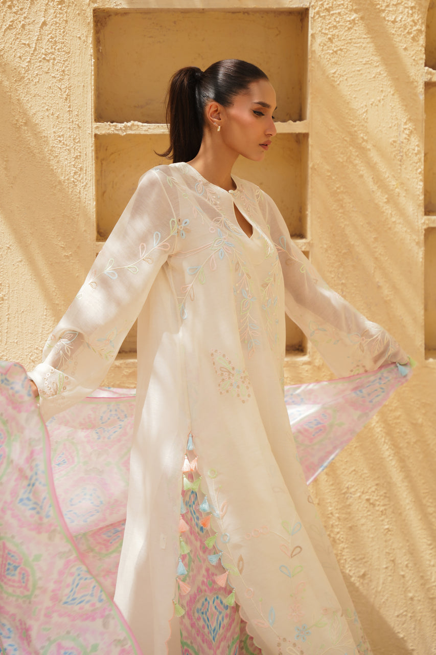 Sania Maskatiya | Eid ul Adha Edit | Amil