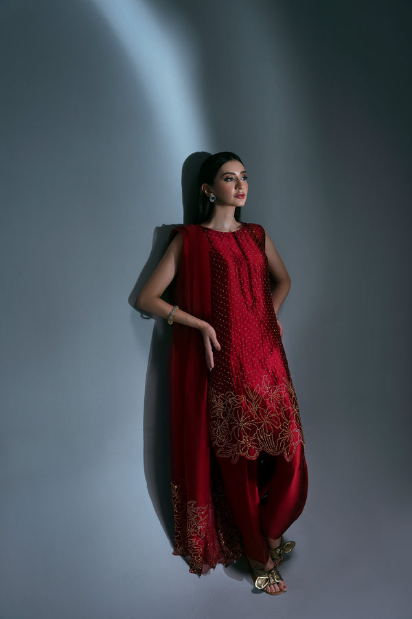Sidra Fahad | Eliana Luxe | SF-181(ELIANNA)
