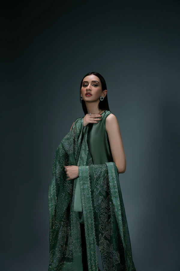 Sidra Fahad | Eliana Luxe | SF-183(ELIANNA)