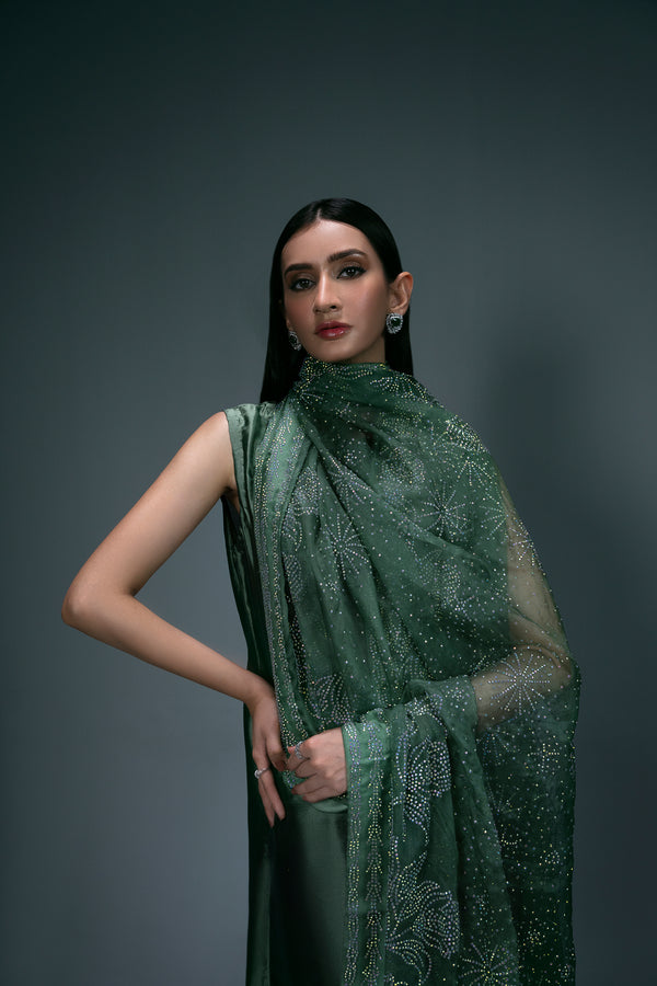 Sidra Fahad | Eliana Luxe | SF-183(ELIANNA)